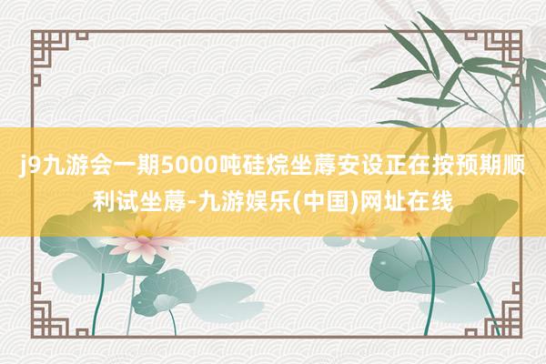 j9九游会一期5000吨硅烷坐蓐安设正在按预期顺利试坐蓐-九游娱乐(中国)网址在线