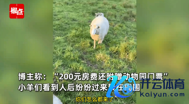 女子体验荷兰200元一晚的民宿 骨子住在羊圈边