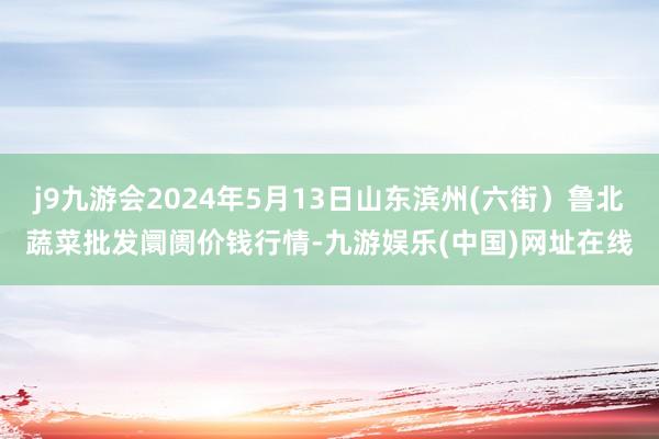 j9九游会2024年5月13日山东滨州(六街）鲁北蔬菜批发阛阓价钱行情-九游娱乐(中国)网址在线