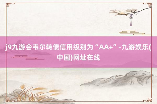 j9九游会韦尔转债信用级别为“AA+”-九游娱乐(中国)网址在线