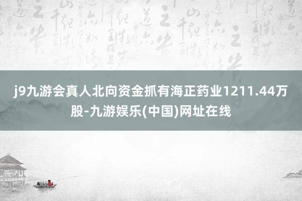 j9九游会真人北向资金抓有海正药业1211.44万股-九游娱乐(中国)网址在线