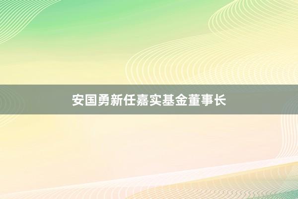 安国勇新任嘉实基金董事长