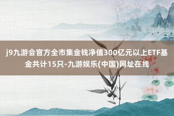 j9九游会官方全市集金钱净值300亿元以上ETF基金共计15只-九游娱乐(中国)网址在线