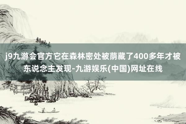 j9九游会官方它在森林密处被荫藏了400多年才被东说念主发现-九游娱乐(中国)网址在线