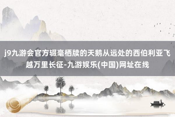 j9九游会官方辍毫栖牍的天鹅从远处的西伯利亚飞越万里长征-九游娱乐(中国)网址在线