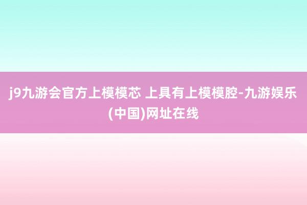 j9九游会官方上模模芯 上具有上模模腔-九游娱乐(中国)网址在线