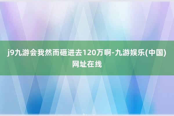 j9九游会我然而砸进去120万啊-九游娱乐(中国)网址在线