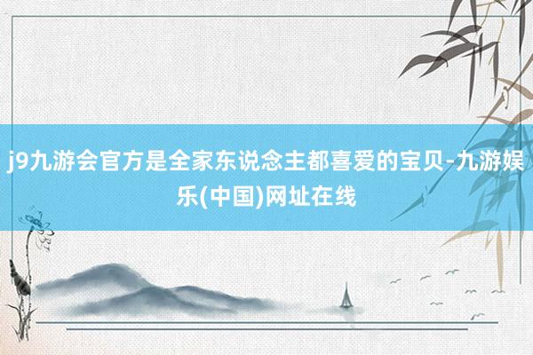 j9九游会官方是全家东说念主都喜爱的宝贝-九游娱乐(中国)网址在线