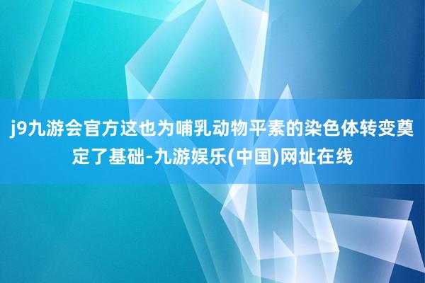 j9九游会官方这也为哺乳动物平素的染色体转变奠定了基础-九游娱乐(中国)网址在线